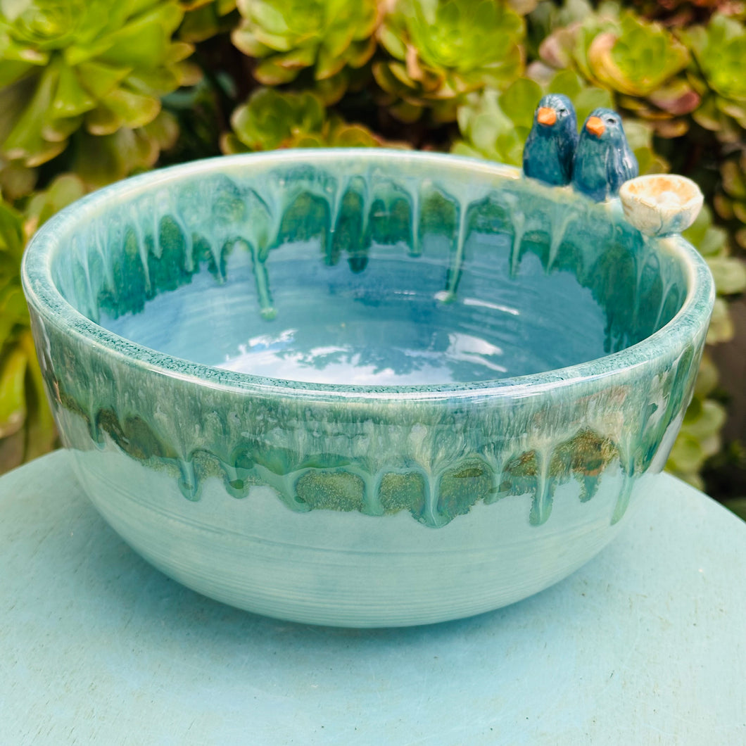 Bird Bowl