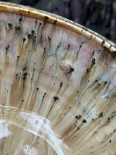 Load image into Gallery viewer, Second- Medium Bowl
